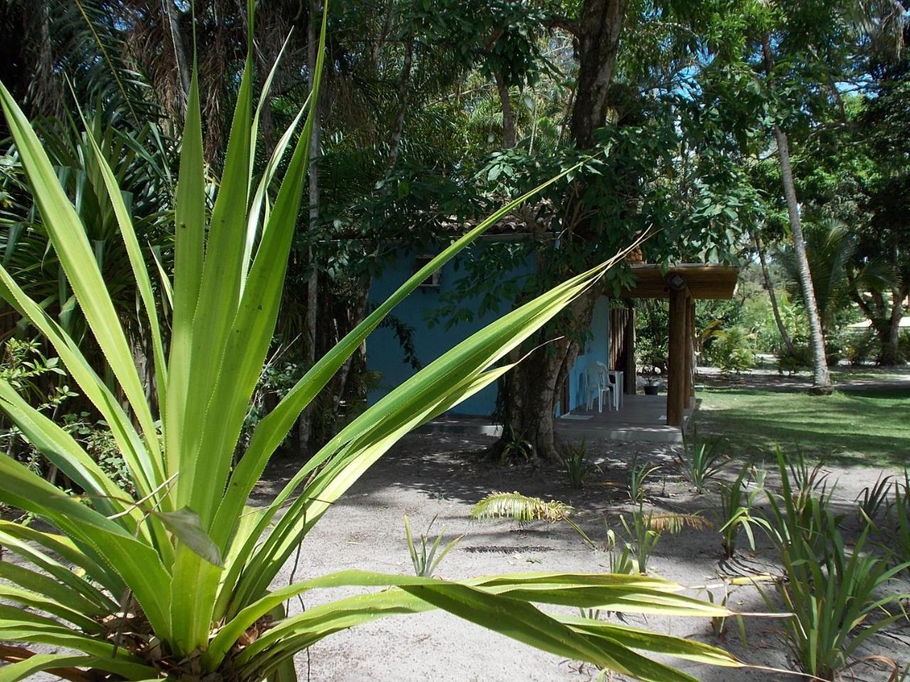 Villa Onca 1024 Trancoso Exterior foto